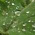Deep Garden: click to view video